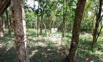 Imagem 7: Área à venda, 5508 m² por R$ 650.000,00 - Sorocamirim - São Roque/SP