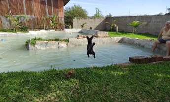 Imagem 3: PAROBE - Sítio - SANTA CRISTINA DO PINHAL