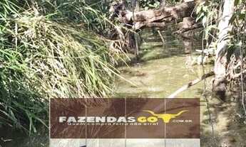 Imagem 5: Fazenda/Sítio/Chácara para venda com 5000 metros quadrados em Vila Padre Eterno - Trindade