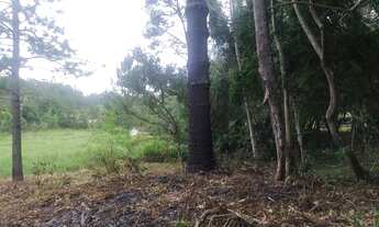 Imagem 2: Terreno plaino dívisa são Lourenço 32 mil reais