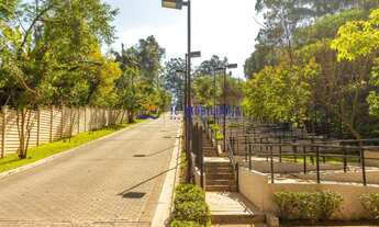 Imagem 7: APARTAMENTO SÃO PAULO JARDIM HELGA