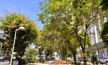 Imagem 4: Ótimo Apartamento 1 dorm Centro Hercilio Luz