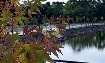 Imagem 6: GRAMADO - Terreno Padrão - Condominio Laken
