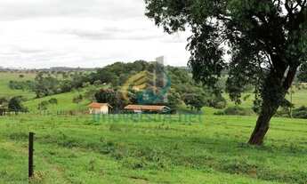 Imagem 3: Fazenda Fazenda à venda em Avaré/SP