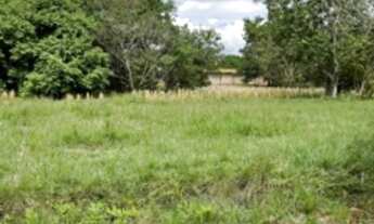 Imagem 6: TERRENO RESIDENCIAL em BRASÍLIA - DF, PARK WAY