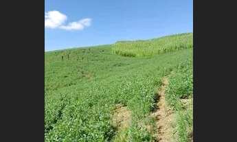 Imagem 2: LINDO SITIO 5 ALQUERES E MEIO, 133 MIL M², A 4 KM DA RODOVIA DO XISTO, MARIENTAL CONTENDA