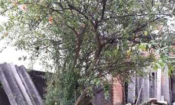 Imagem 6: TERRENO - 10,00 X 27,00 - VILA MAZZEI