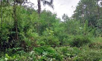 Imagem 4: Terreno 7 barras c/ cachoeira- aprox 10 alqueires