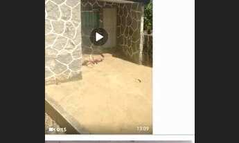 Imagem: Vendo 2 casas escrituradas no São Dimas