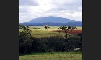 Imagem 4: CHACARAS EM IGARAPÉ,1000M² APENAS $54 MIL. FINANCIADO DIRETAMENTE COM PROPRIETÁRIO