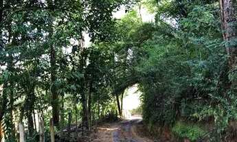 Imagem 7: Sítio de 1 alqueire com nascente na Serra da Mantiqueira - Córrego do Bom Jesus