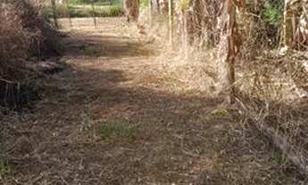 Imagem 2: Vendo casa mini Chacara 500m em campinas