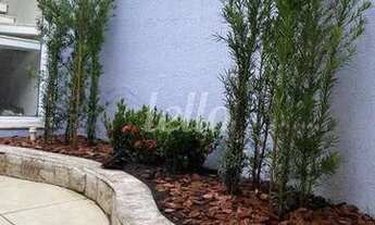 Imagem 2: São Paulo - Casa Padrão - Pari