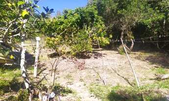 Imagem: Terreno Próximo a Cachoeira em Ibiúna!