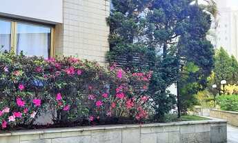 Imagem 3: Vendo excelente apartamento na Saúde, suíte com varanda, lavabo, copa, depósito e 3 vagas