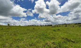 Imagem 6: Vendo excelente fazenda no entroncamento de São Miguel das matas