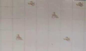 Imagem 4: Aluguel Direto com o Proprietário