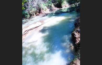 Imagem 5: Fazenda no DF com 30 hectares oportunidade