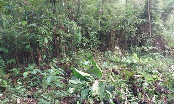 Imagem 6: Terreno 7 barras c/ cachoeira- aprox 10 alqueires