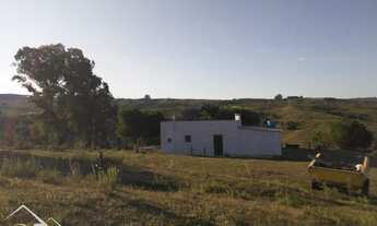 Imagem 3: Pinheiro Machado - Sítio - Zona Rural