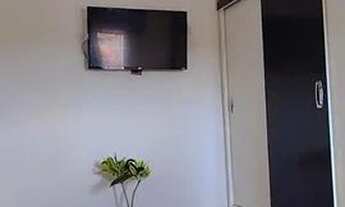 Imagem: Alugo, Temporada são João berimbau