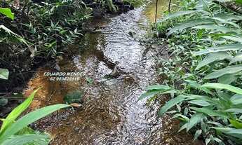 Imagem: Chácara com 1.82 alqueires, rica em água