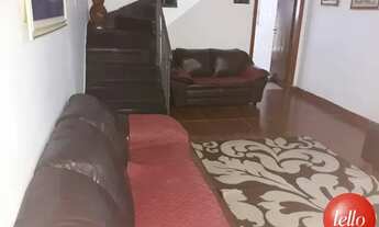 Imagem 3: São Paulo - Casa Padrão - Tatuapé