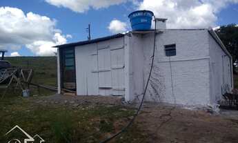 Imagem 6: Pinheiro Machado - Sítio - Zona Rural