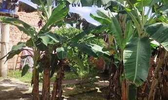 Imagem 5: Casa Casa com 3 dormitórios