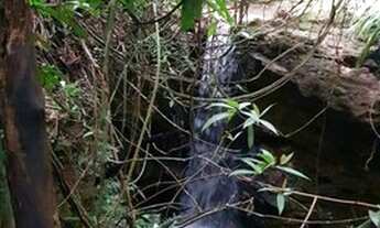 Imagem 5: Fazenda/Sítio/Chácara para venda possui 120 metros quadrados com 3 quartos