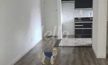 Imagem 3: Santo André - Apartamento Padrão - Vila Alto de Santo André