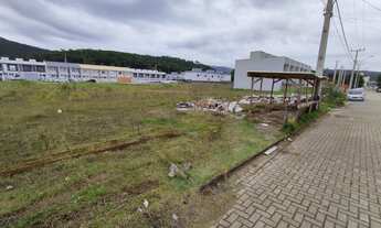 Imagem 6: Terreno pronto para construção no