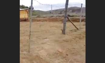 Imagem 6: Vende-se interessados e só ligar * Ou