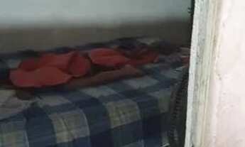 Imagem 3: Vende uma casa Casa com 2 dormitórios