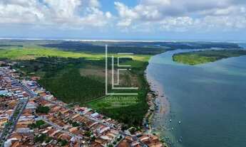 Imagem 6: Área 100% com 28 hectares às margens do Rio São Francisco, em Piaçabuçu-AL