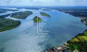 Imagem 5: Área 100% com 28 hectares às margens do Rio São Francisco, em Piaçabuçu-AL