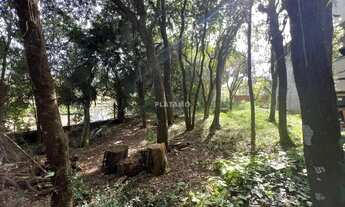 Imagem 6: Imóvel no Vinte e Cinco de Julho, Ivoti