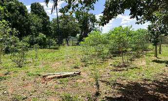 Imagem 5: Rural Chácara em São José do Rio Preto