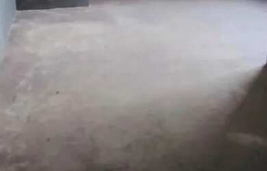 Imagem: Galpões para locação em São Paulo no