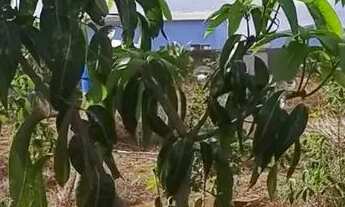 Imagem 3: TERRENO, VENDO OU TROCO NUM VEíCULO DE PASSEIO