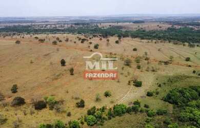 Imagem 7: Fazenda 58 alqueires (280,7 hectares) Itarumã -GO
