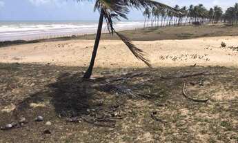 Imagem: OPORTUNIDADE EXCELENTE ÁREA NA BARRA DOS