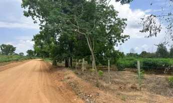 Imagem 4: CHÁCARA NA BEIRA DO RIO TOCANTINS A MINUTOS DA CIDADE DE MIRACEMA!