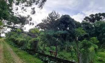 Imagem 4: Terreno Pedancino Caxias do Sul