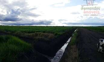 Imagem 6: Fazenda à venda, em Lucas do Rio Verde - 1004 Há R$ 112.500.000 - Zona Rural - Lucas do Ri
