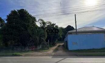 Imagem 6: Terreno a venda 8.500,00m2 Barro Preto- Sao Jose dos Pinhais