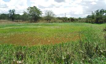 Imagem 4: Excelente fazenda com casa sede, curral, boas aguadas, rio e muito capim , próxima / Feira