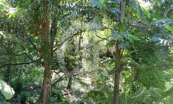 Imagem 6: Terreno Padrão em Aracaju