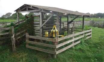 Imagem 6: Fazenda à venda - Zona Rural - Poconé - MT