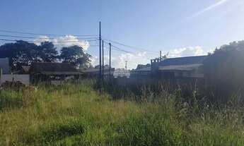 Imagem 3: Vendas Terreno São José Dos Pinhais PR